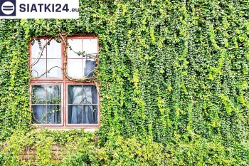 Siatki Rypin - Siatka z dużym oczkiem - wsparcie dla roślin pnących na altance, domu i garażu dla terenów Rypina