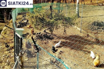 Siatki Rypin - Siatka na woliery - zabezpieczenia ptaków w hodowli dla terenów Rypina